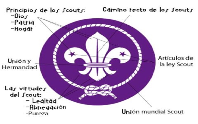 Scout